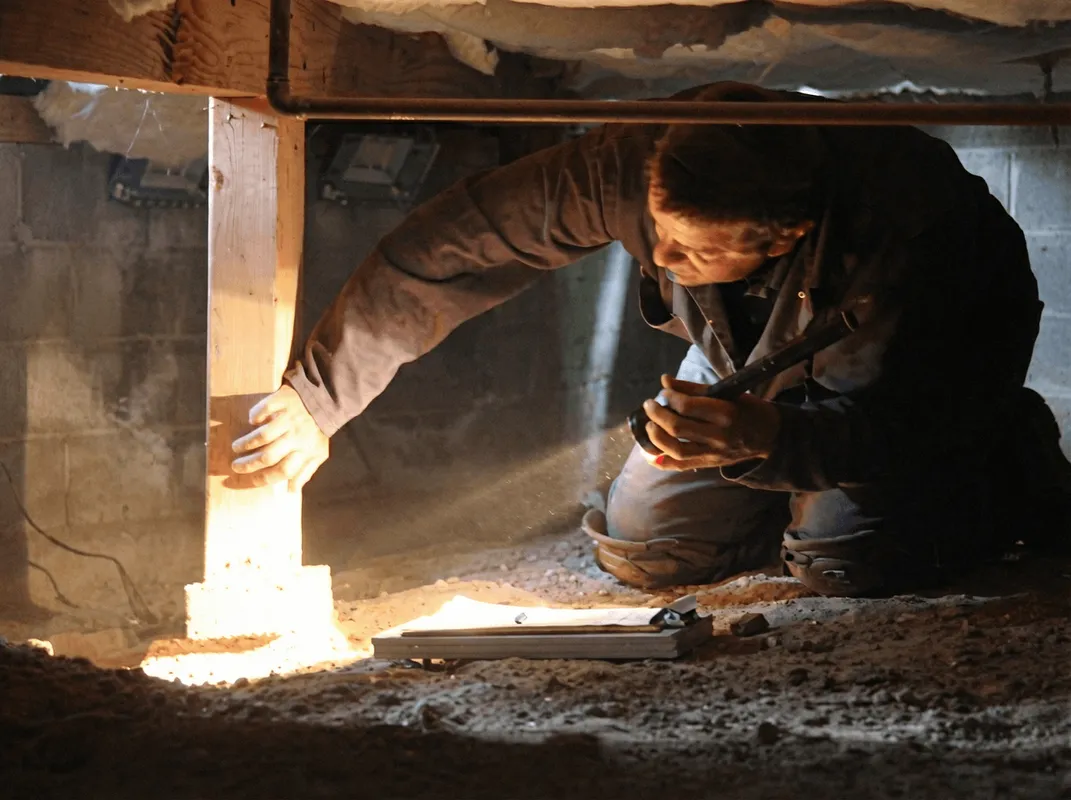 A professional inspecting wooden beams under the floor of a structure in Colorado Springs, CO